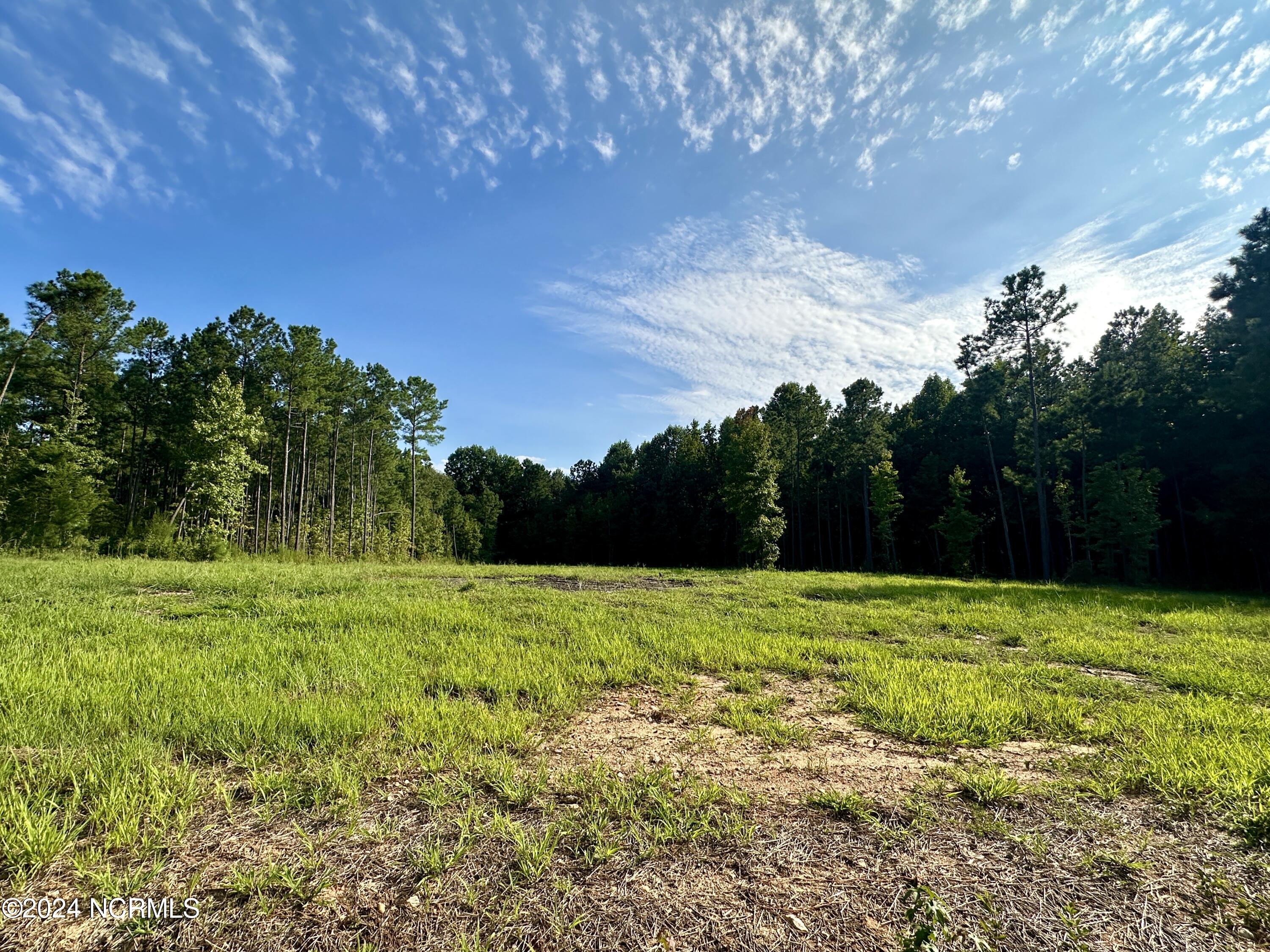 265 Old Eason Road Zebulon, NC 27597 - Photo 5 of 16 265 pic 2
