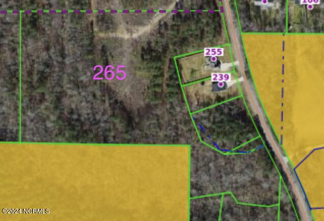 265 Old Eason Road Zebulon, NC 27597 - Photo 7 of 16 265 Old Eason GIS MAP