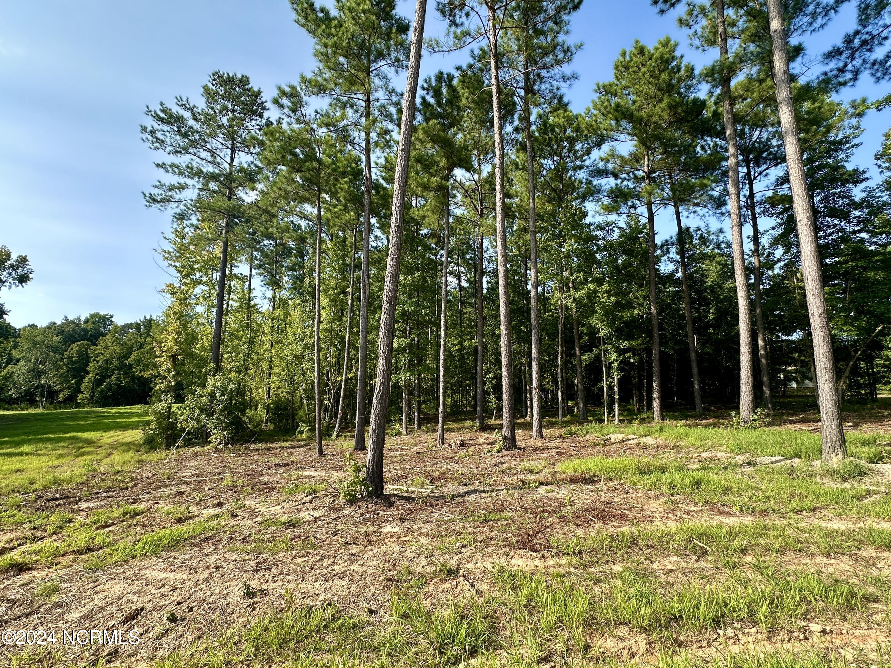 265 Old Eason Road Zebulon, NC 27597 - Photo 8 of 16 265 pic 1