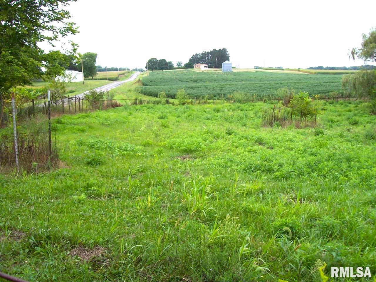 1098 Merritt Blacktop Road Bluffs, IL 62621 - Photo 2 of 17