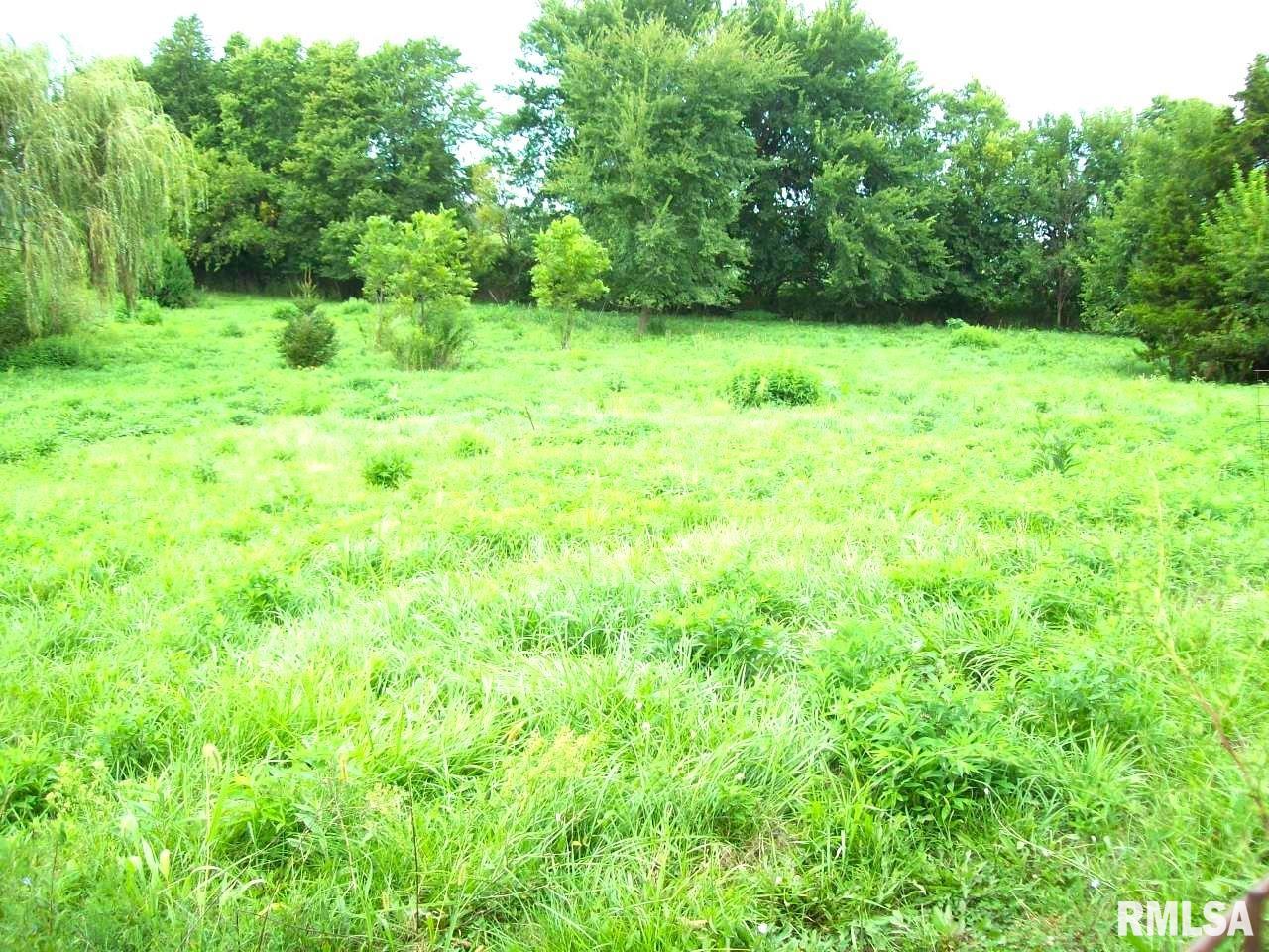 1098 Merritt Blacktop Road Bluffs, IL 62621 - Photo 3 of 17