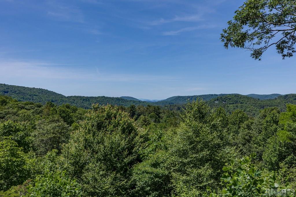 291 Hill Road Highlands, NC 28741 - Photo 30 of 31 Gallery Image 30