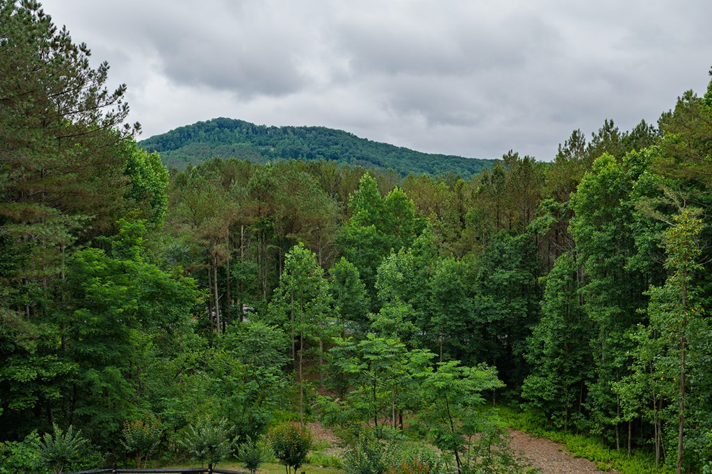 55 Ridge Top Drive Ellijay, GA 30536 - Photo 6 of 76