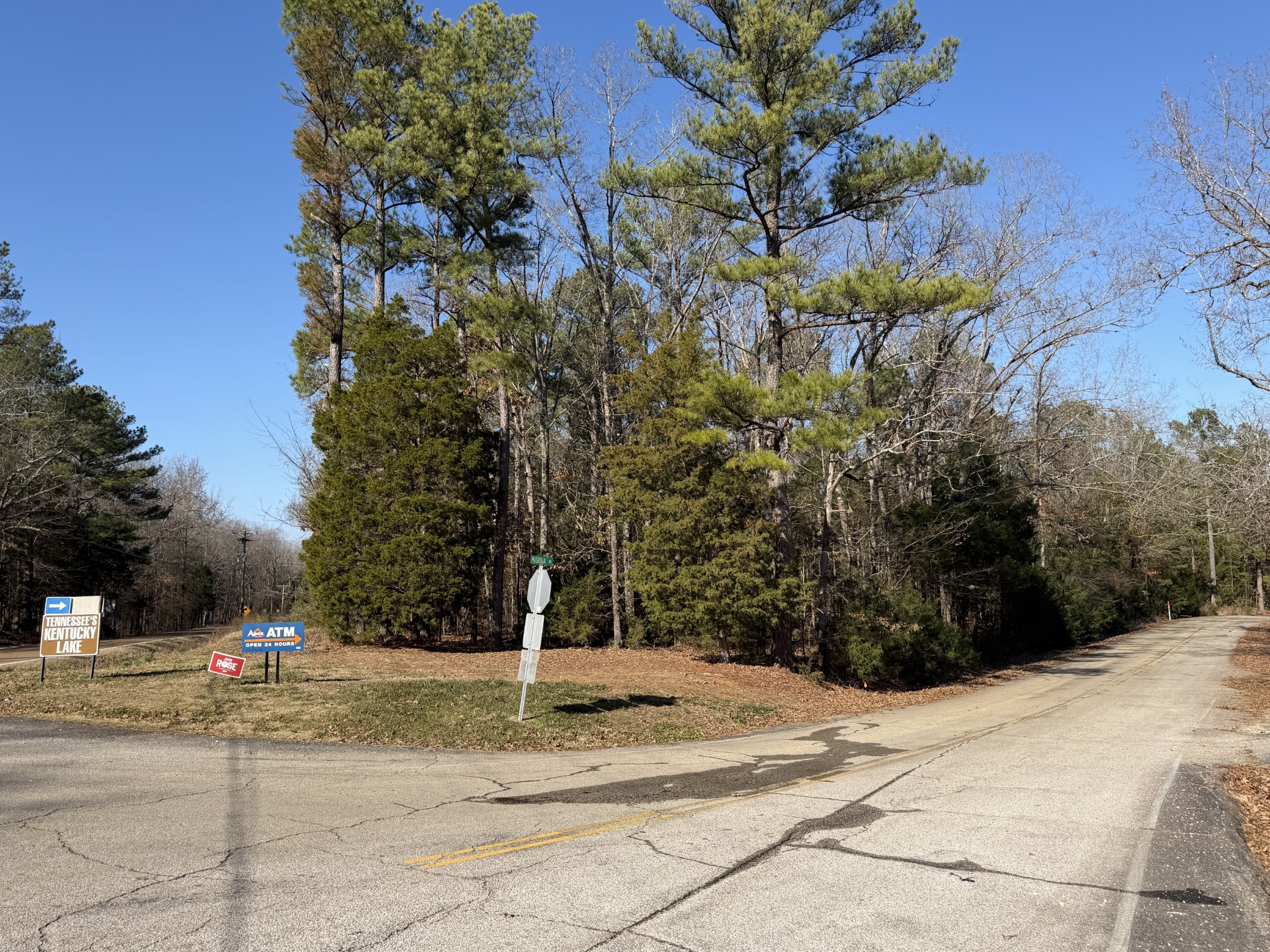 0 Birdsong Road Camden, TN 38320 - Photo 2 of 3 Gallery Image 2