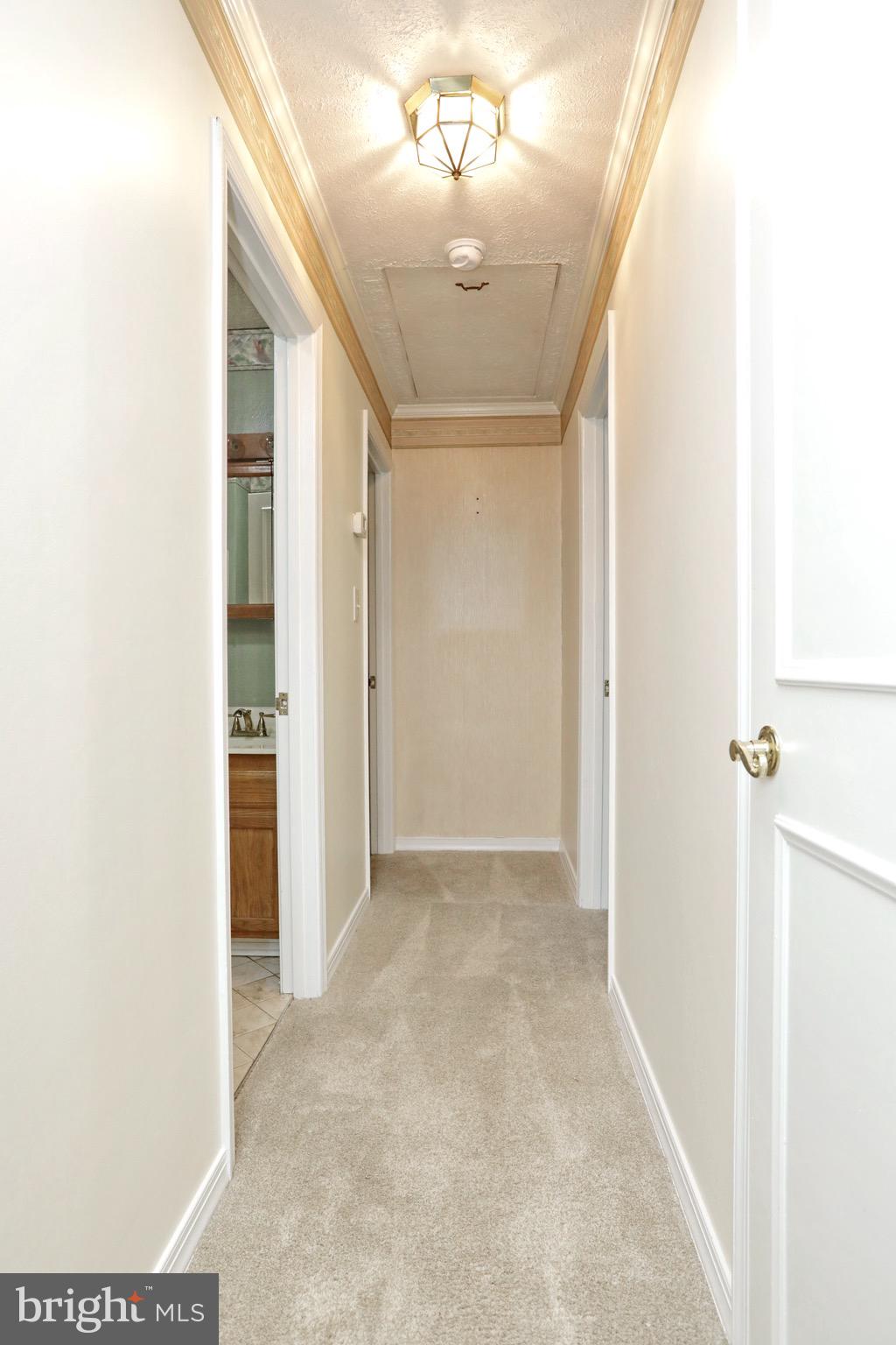 5022 Long Beach Road St. Leonard, MD 20685 - Photo 27 of 58