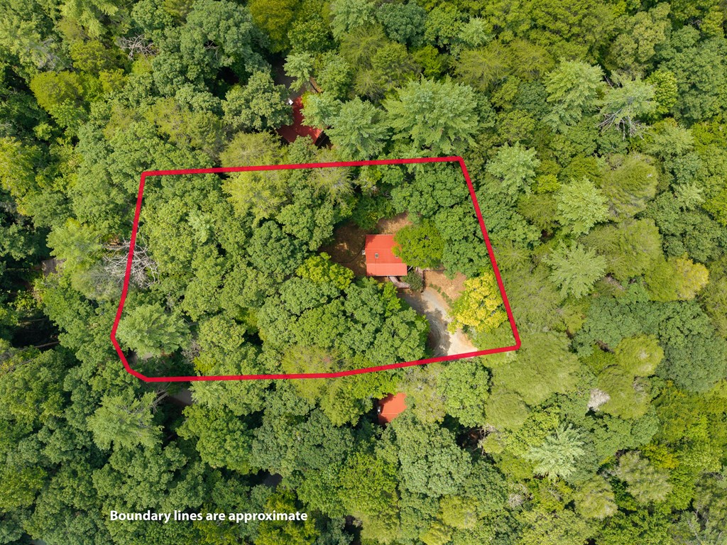 35 Finch Lane Blue Ridge, GA 30513 - Photo 29 of 33 Gallery Image 29