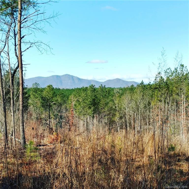 1217 Moore Road Tryon, NC 28782 - Photo 1 of 15