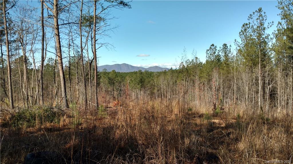 1217 Moore Road Tryon, NC 28782 - Photo 2 of 15