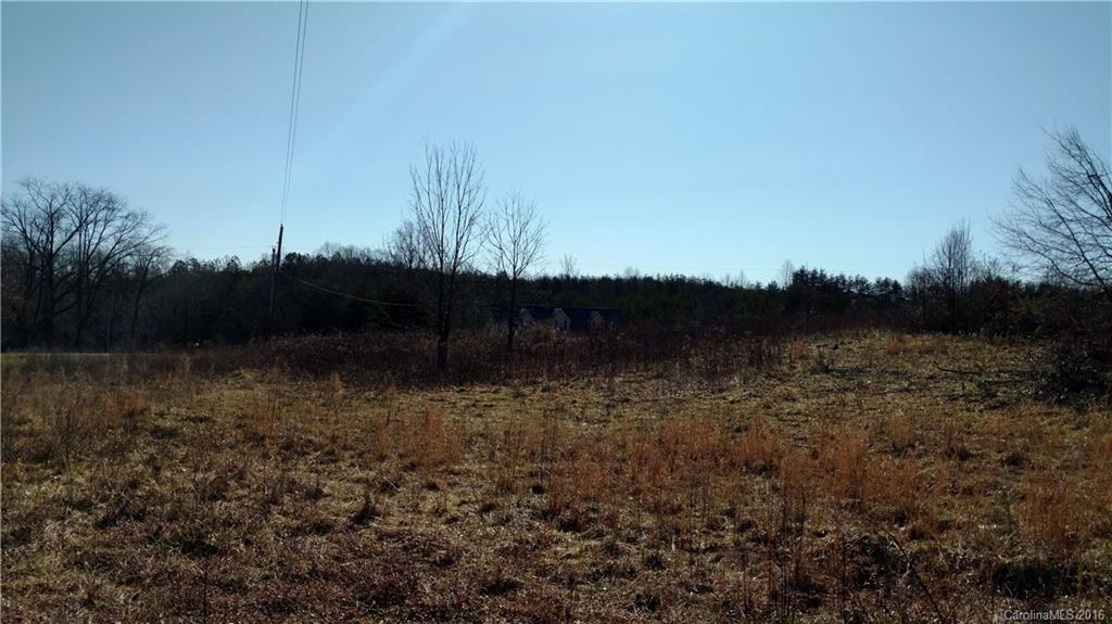 1217 Moore Road Tryon, NC 28782 - Photo 13 of 15