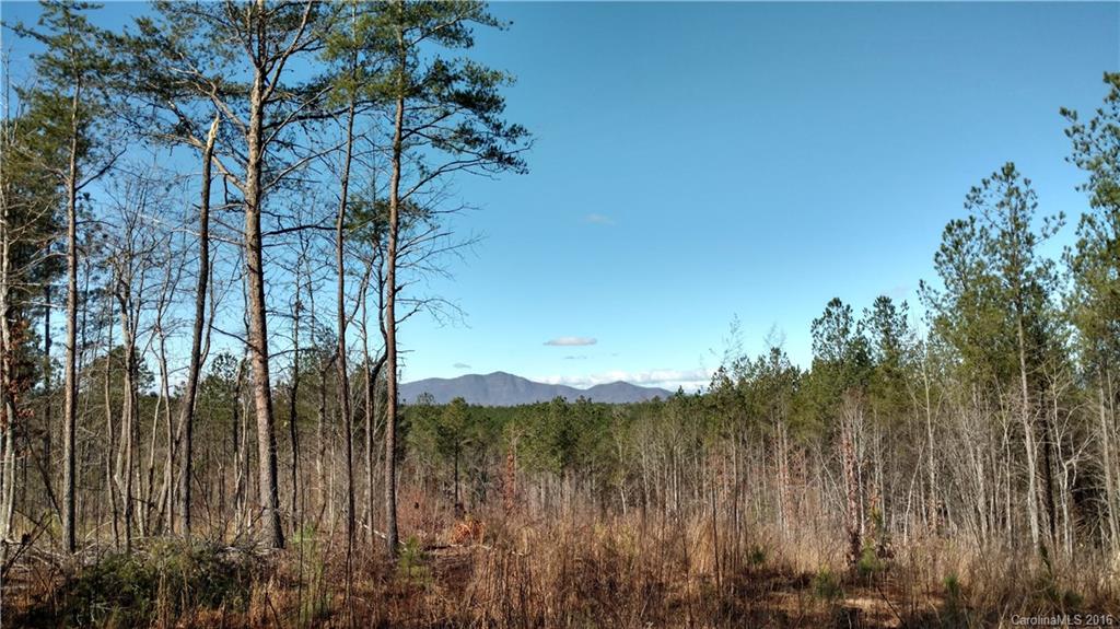 1217 Moore Road Tryon, NC 28782 - Photo 3 of 15