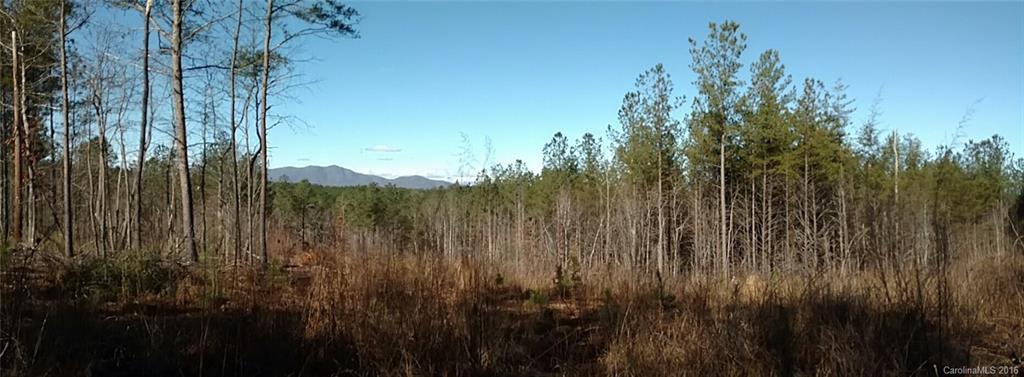 1217 Moore Road Tryon, NC 28782 - Photo 5 of 15