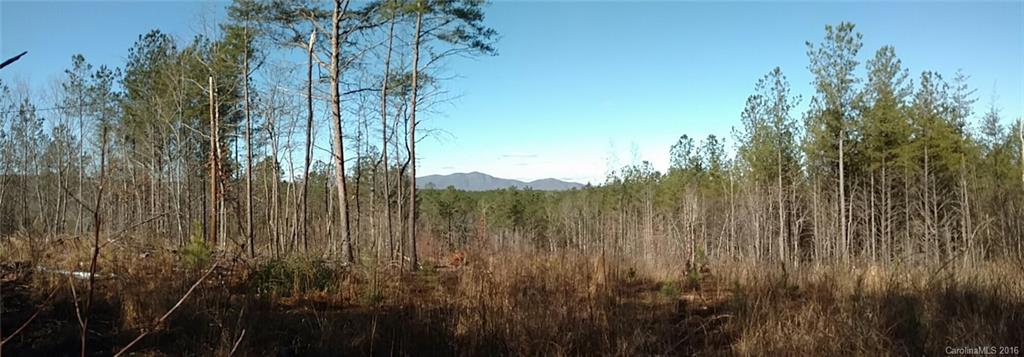 1217 Moore Road Tryon, NC 28782 - Photo 6 of 15