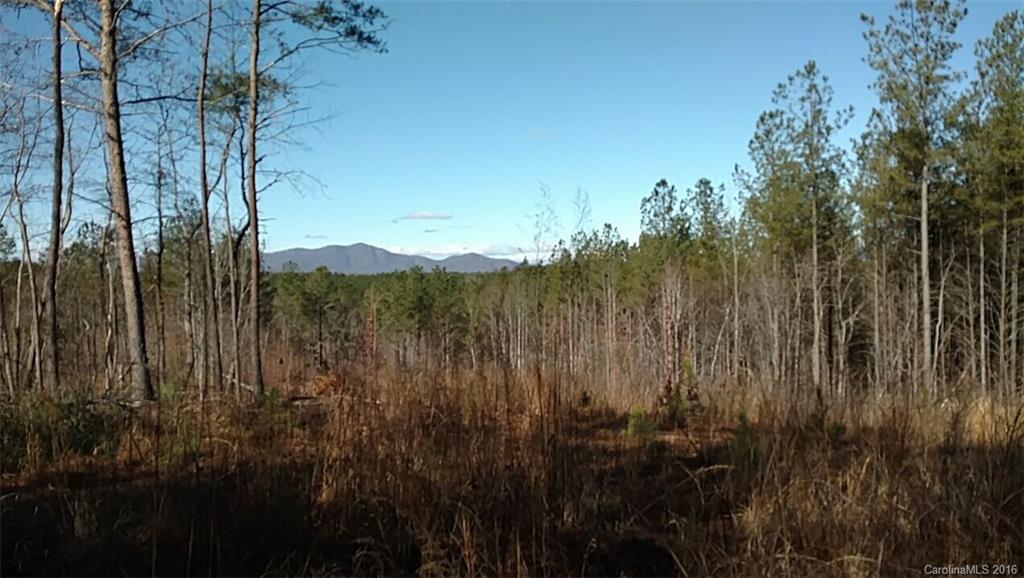 1217 Moore Road Tryon, NC 28782 - Photo 7 of 15