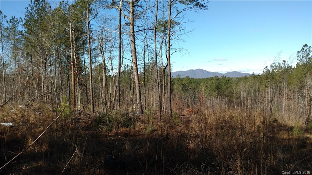 1217 Moore Road Tryon, NC 28782 - Photo 8 of 15