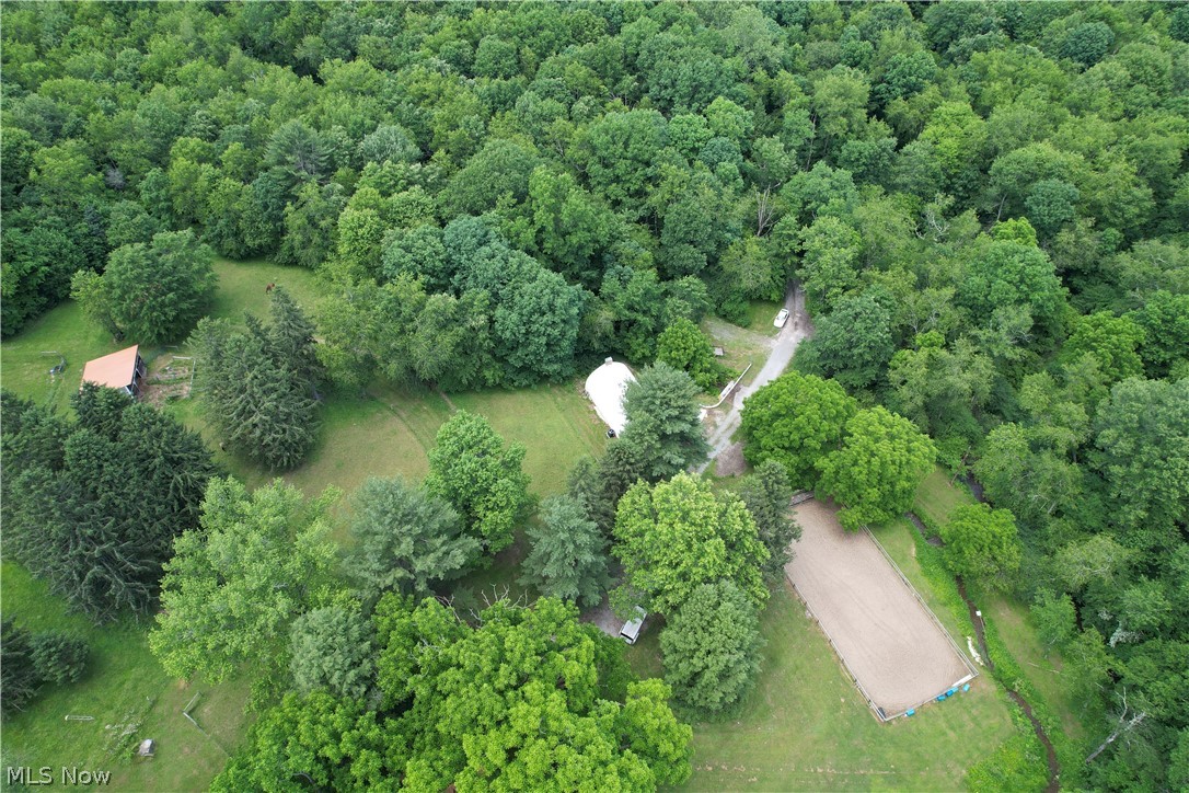 11811 Gaston Road Rogers, OH 44455 - Photo 3 of 38 WELCOME TO PARADISE! 11811 Gaston Rd. Negley/Rogers, OHIO sits on nearly 28 acres of land, with a functional and featured cabin to relax in! Not to mention the Q-Hut that's over 1,000 square feet and has electric, the horse arena is 50x80 and there's plenty of usable space that could be built out for your needs. Schedule your appointment today!