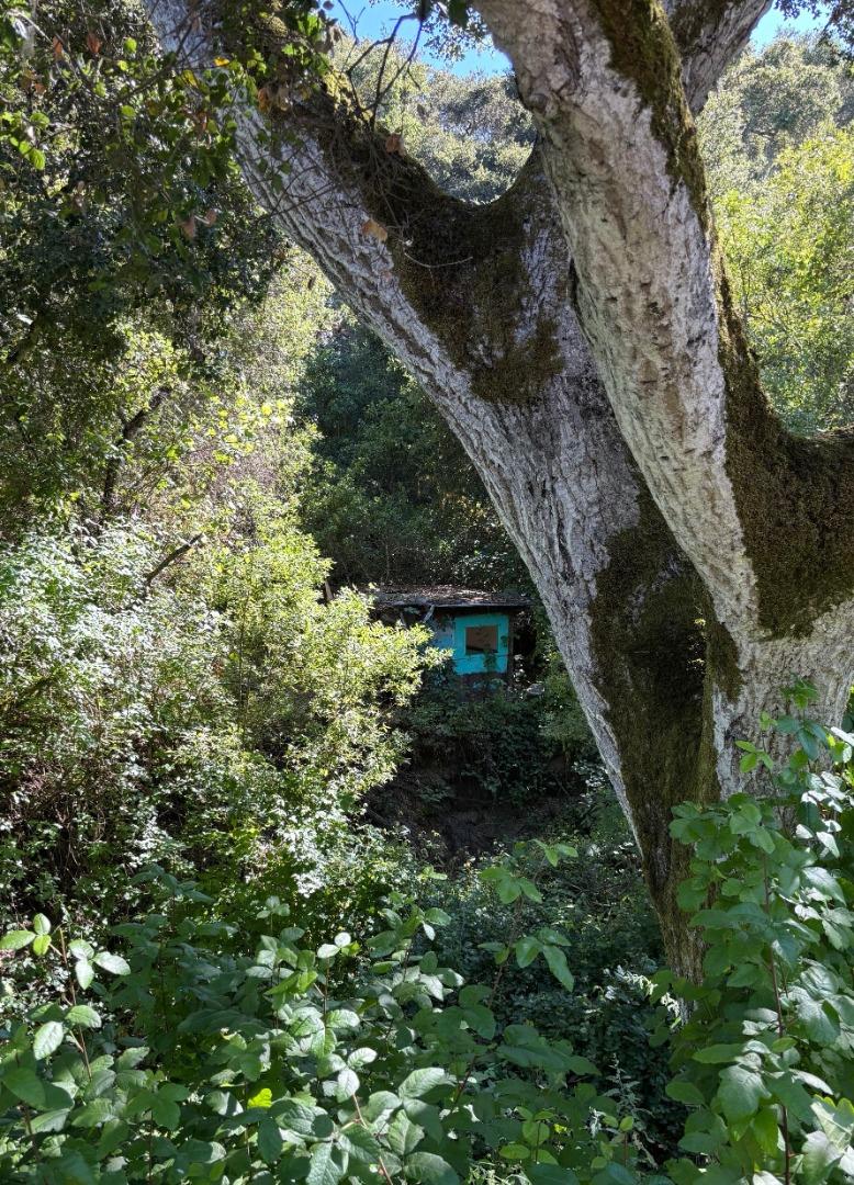 382 Corral De Tierra Road Salinas, CA 93908 - Photo 13 of 20