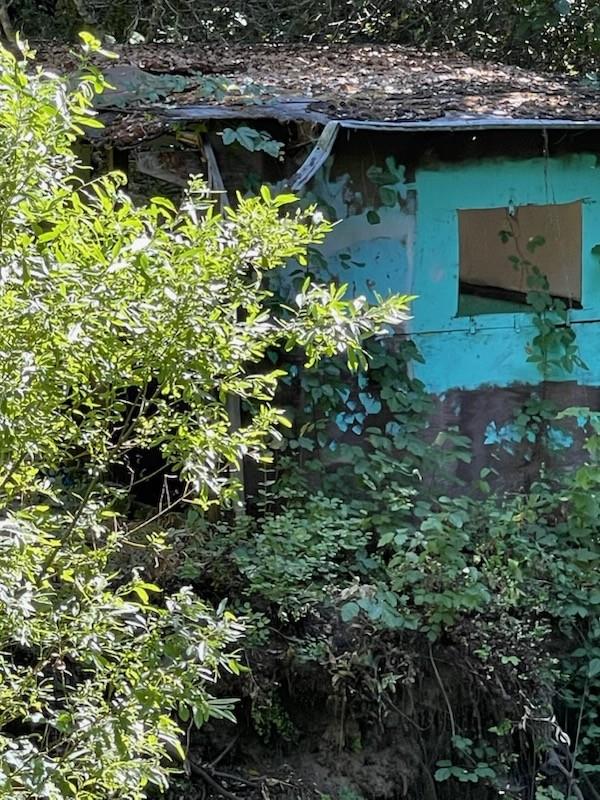 382 Corral De Tierra Road Salinas, CA 93908 - Photo 14 of 20 a view of a garden with a plants