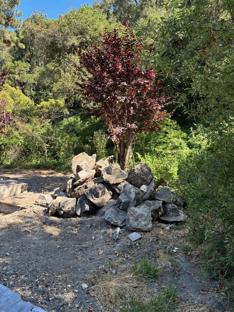 382 Corral De Tierra Road Salinas, CA 93908 - Photo 19 of 20 a view of a small yard with a tree