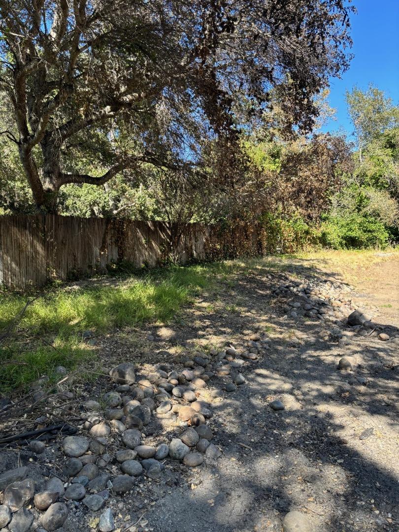 382 Corral De Tierra Road Salinas, CA 93908 - Photo 10 of 20 a view of a yard with a tree