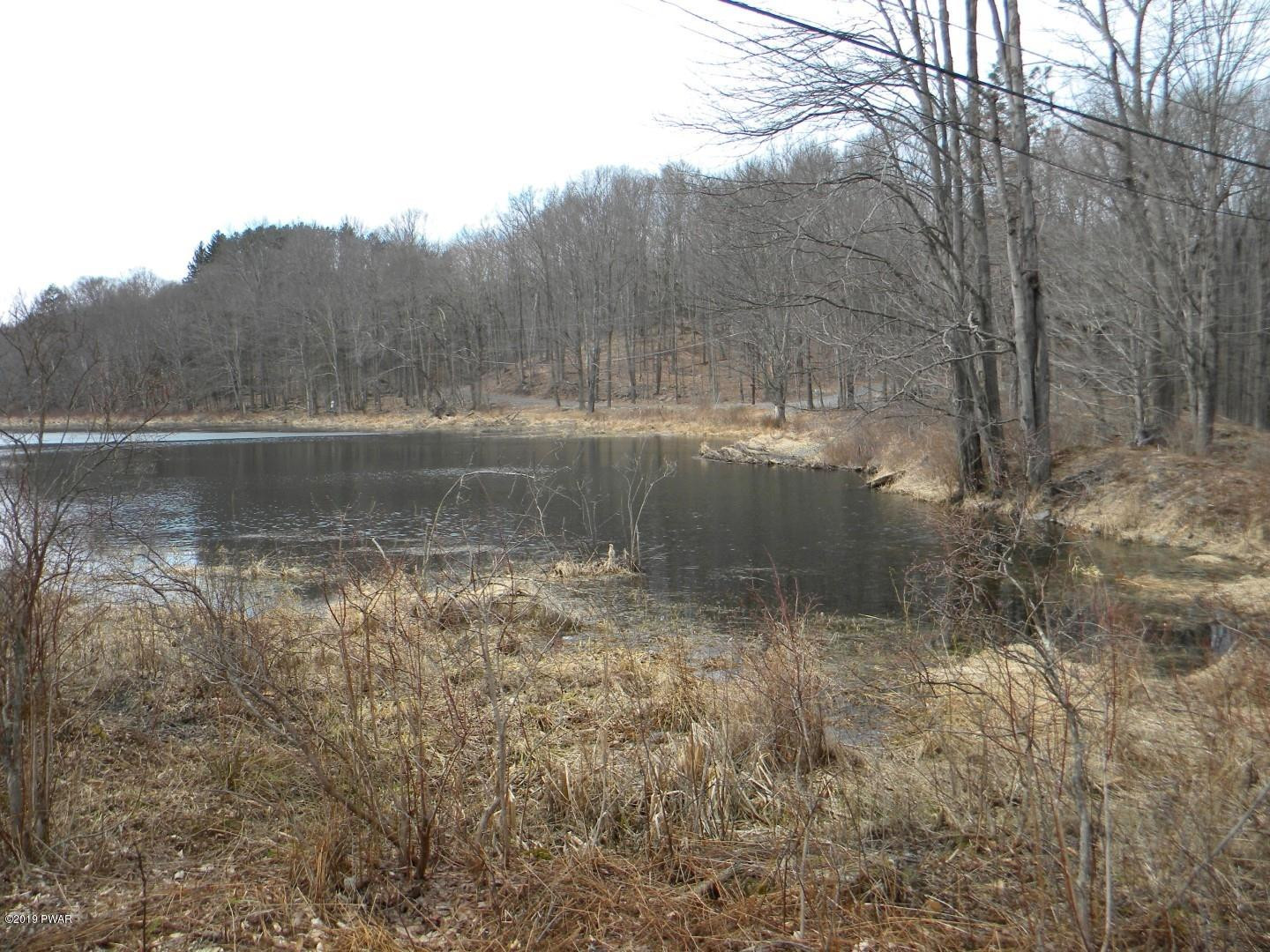 107 Ridge Road Lake Ariel, PA 18436 - Photo 29 of 31