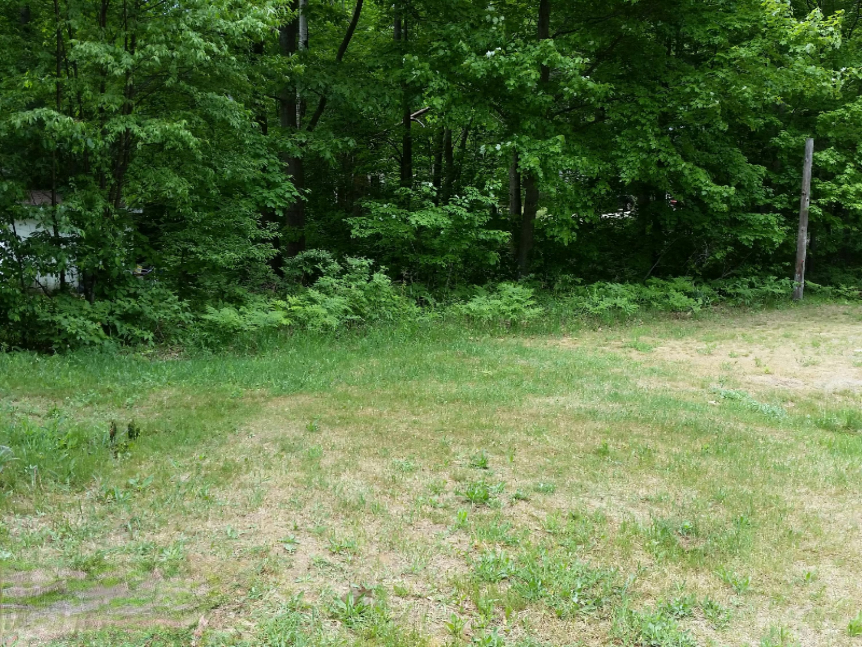 6752 Maple Road Ludington, MI 49431 - Photo 15 of 16 20160601_140251