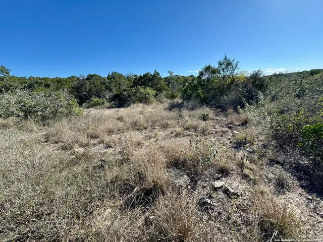 a view of a field of grass and trees