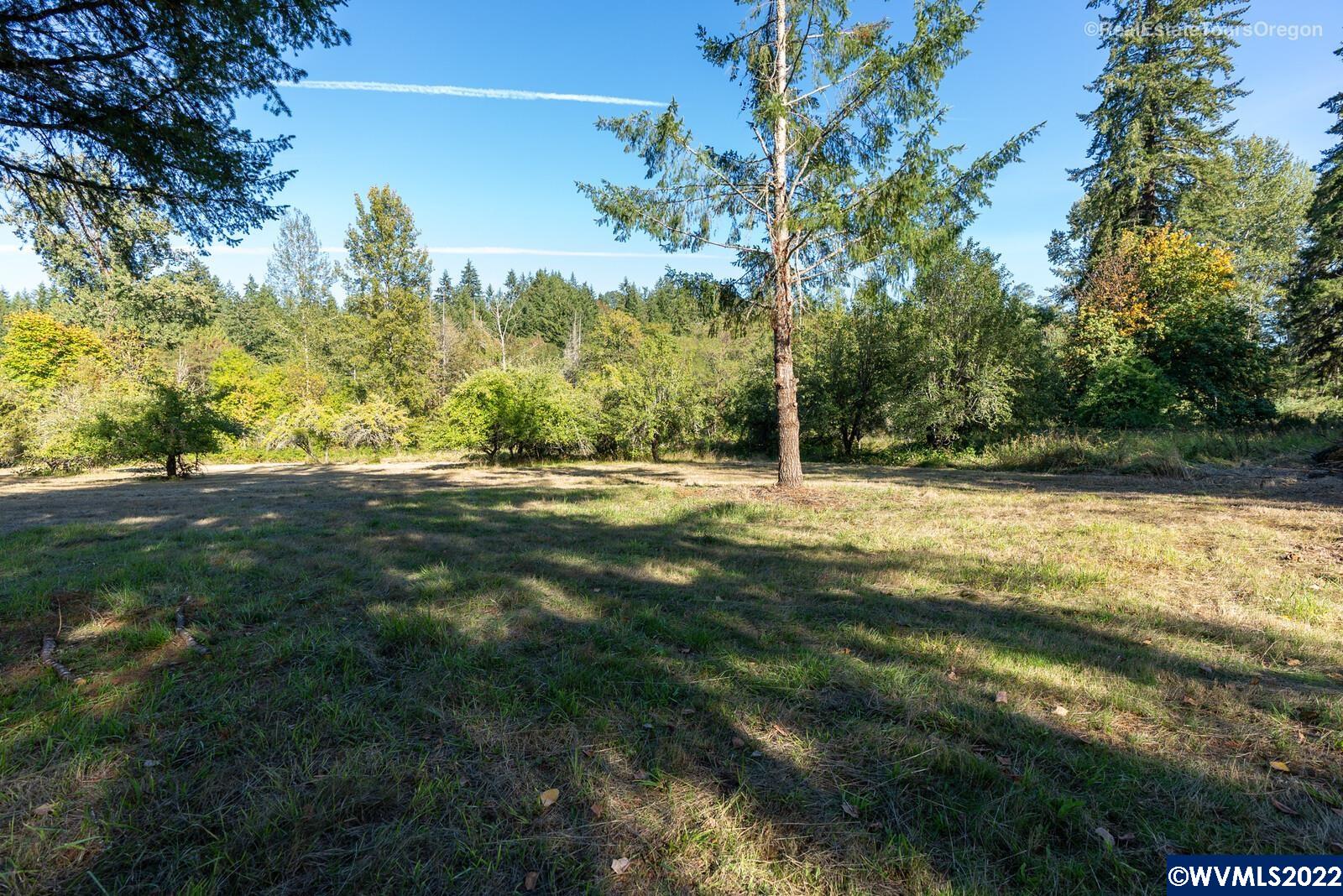 0 South Dickey Prairie Road Molalla, OR 97038 - Photo 4 of 38 Gallery Image 4