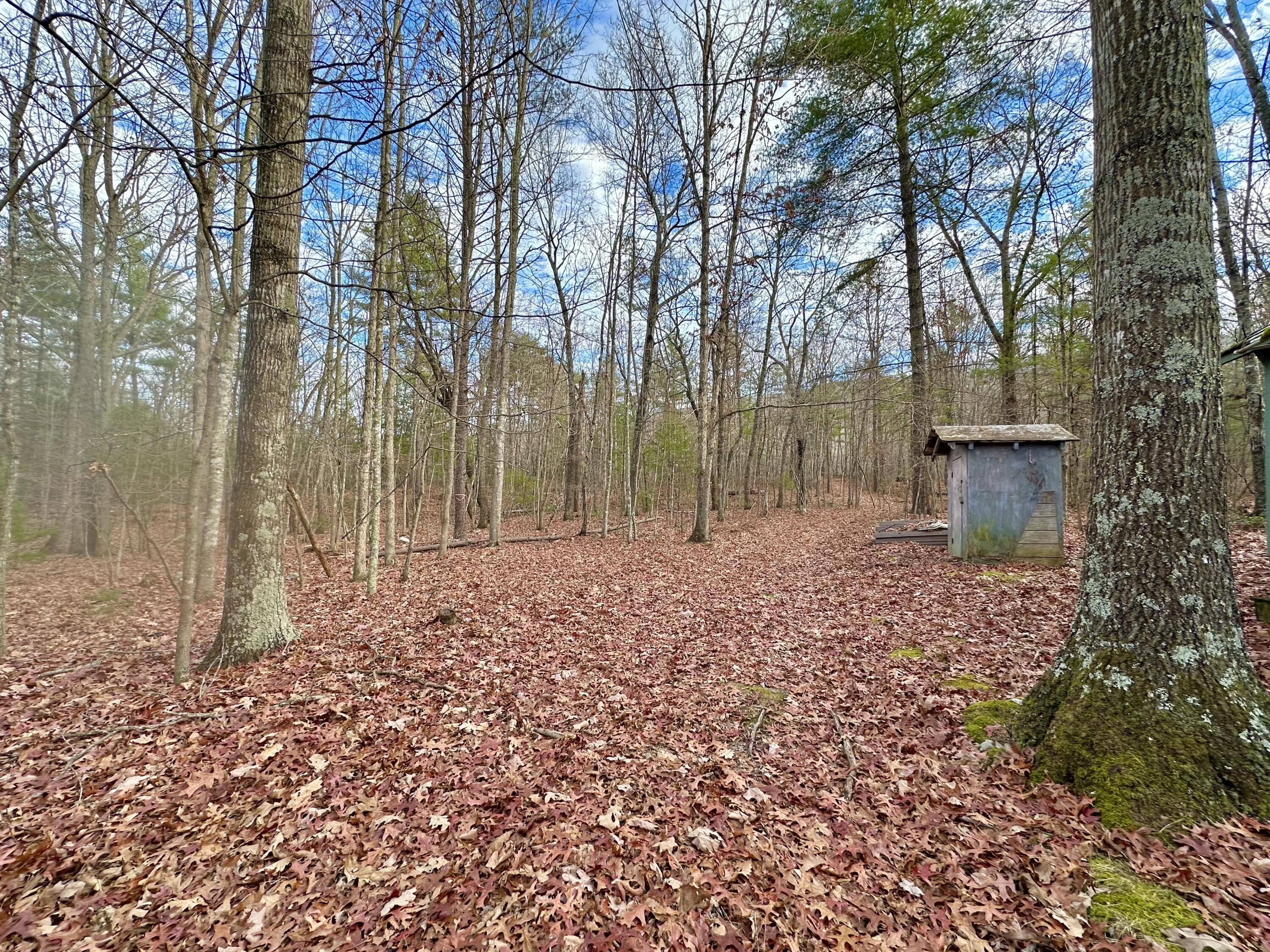 303 Jonestown Road Covington, VA 24426 - Photo 15 of 23 IMG_1518