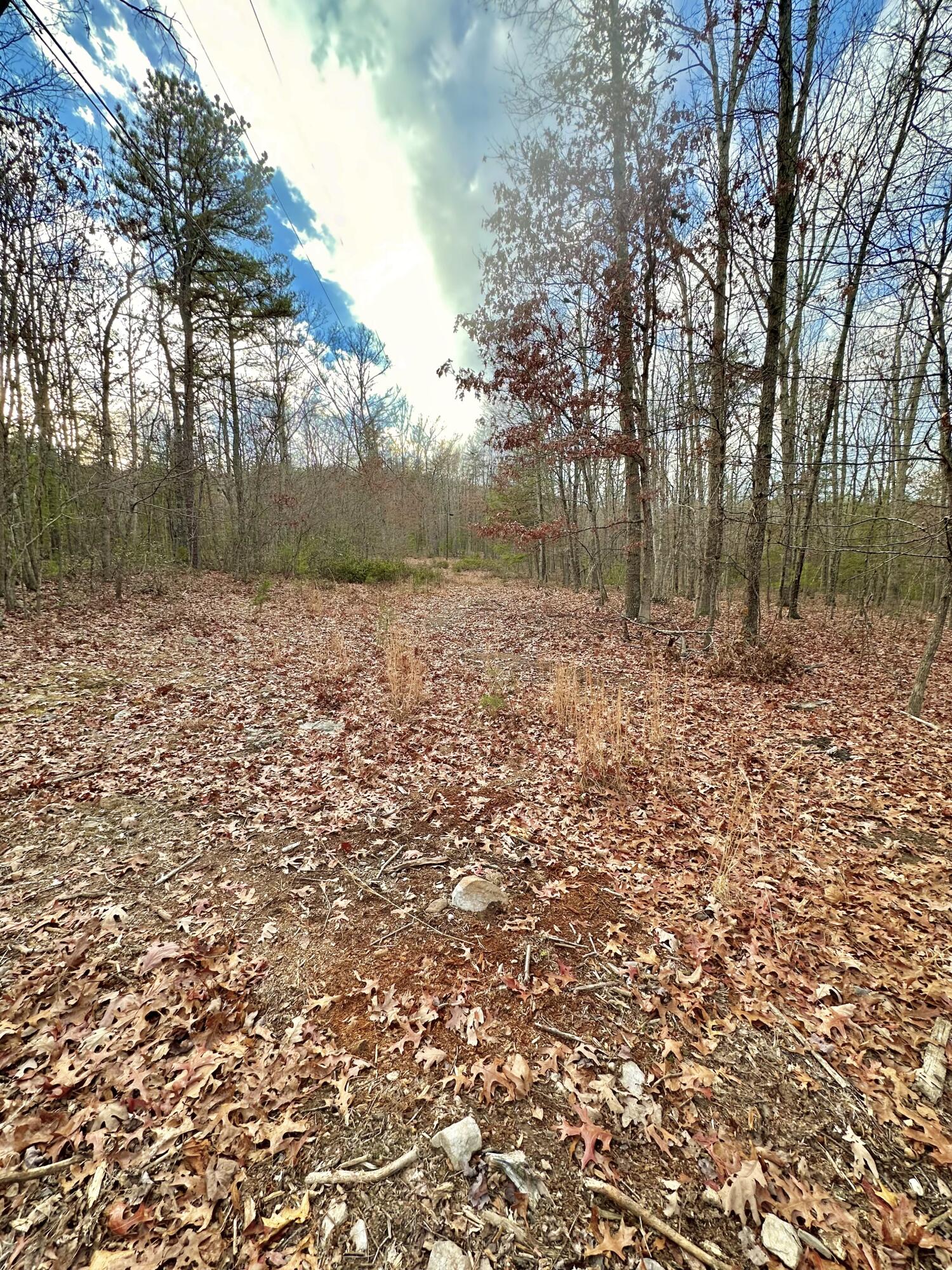303 Jonestown Road Covington, VA 24426 - Photo 8 of 23 IMG_1535