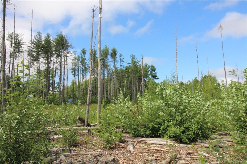 Lot A Pond Road Hampden, ME 04444 - Photo 3 of 12 Photo