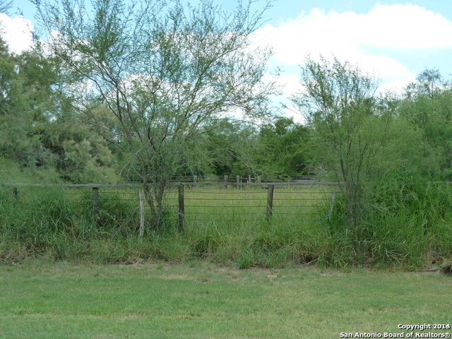 1956 Fm 1554 Alice, TX 78332 - Photo 6 of 10 a view of a lush green forest