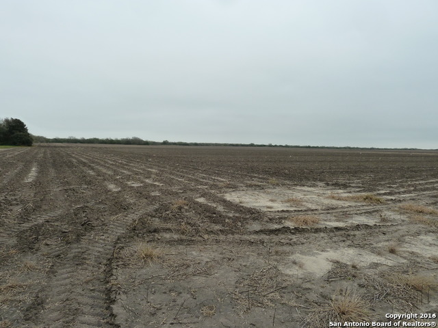 1956 Fm 1554 Alice, TX 78332 - Photo 9 of 10 a view of an ocean beach