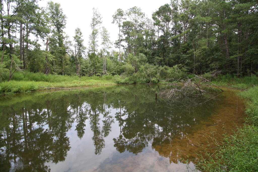1525 Singletary Road Abbeville, AL 36310 - Photo 35 of 39 Gallery Image 35