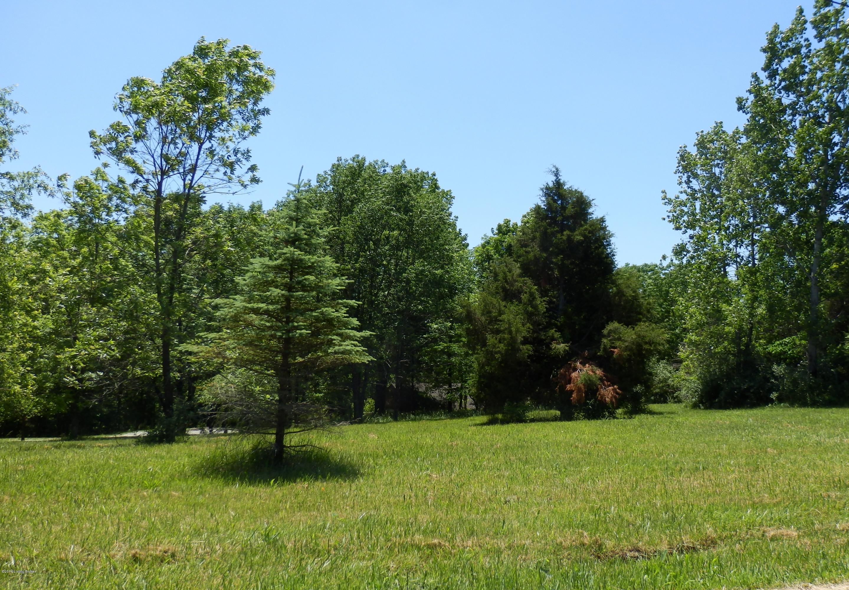 1776 Wolf-Pen Road Pendleton, KY 40055 - Photo 2 of 33 1776 Wolfpen_2_Land_From _Street