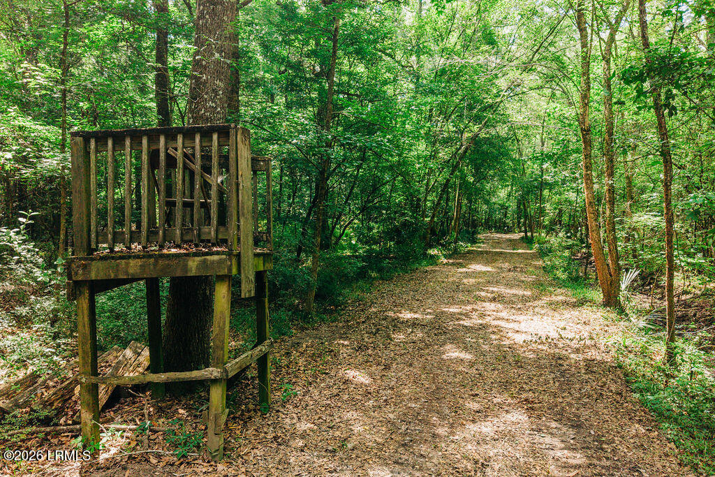 0 Parnel Road Cope, SC 29038 - Photo 11 of 13 DJI_20260511111831_0107_D