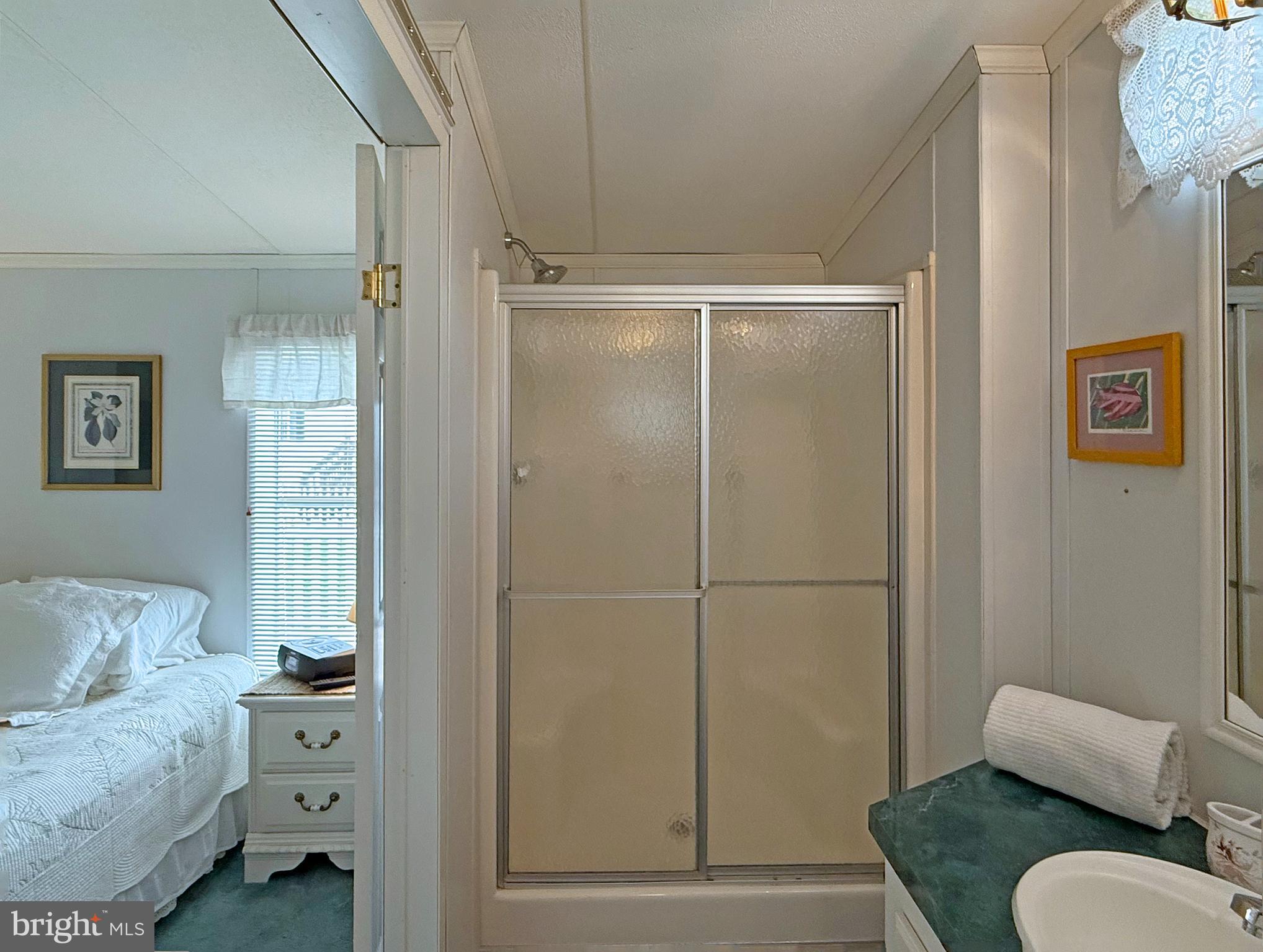 22 Sunnyfield Road, Unit E13 Rehoboth Beach, DE 19971 - Photo 17 of 36 Walk-In Shower