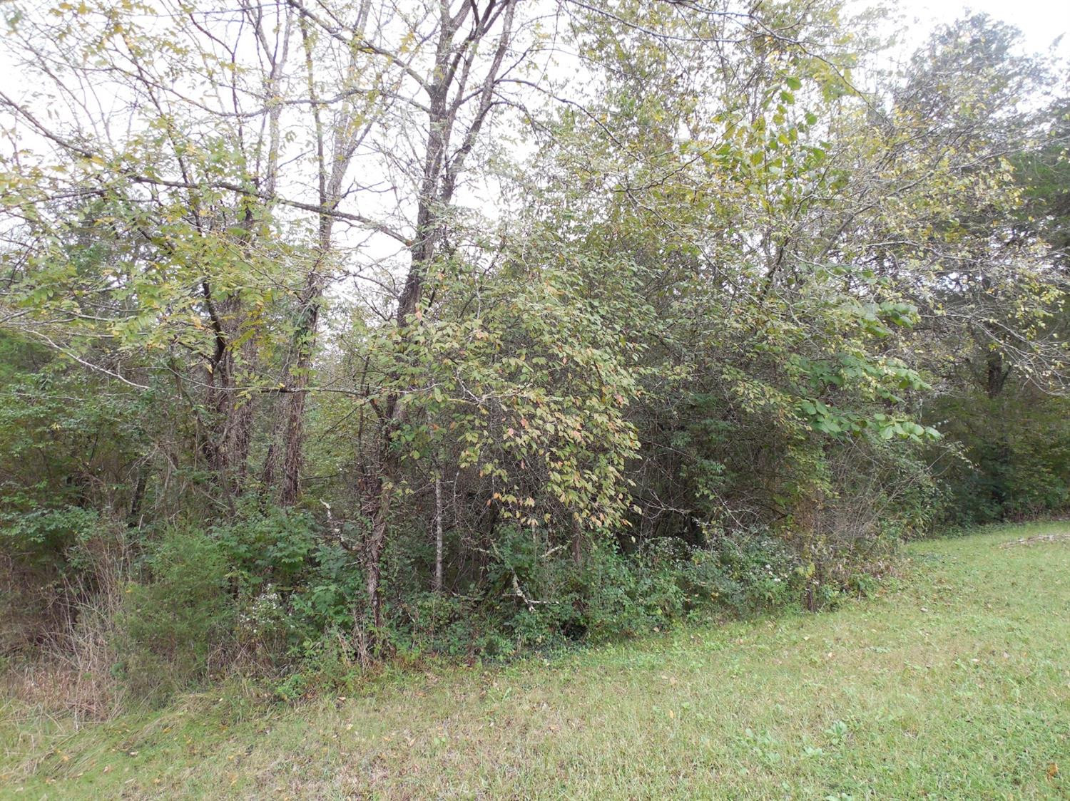 1350 River Road Nicholasville, KY 40356 - Photo 10 of 47 Photo 10