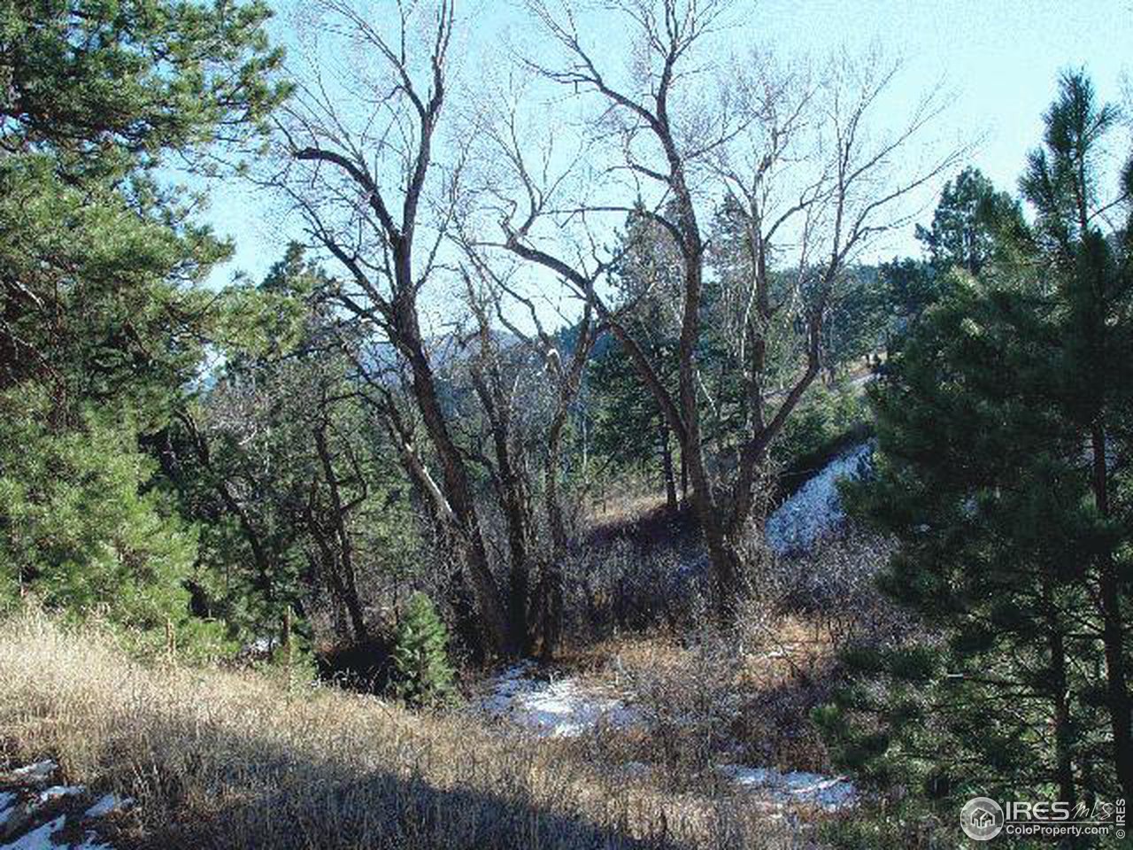1088 Pika Road Boulder, CO 80302 - Photo 2 of 4 Gallery Image 2