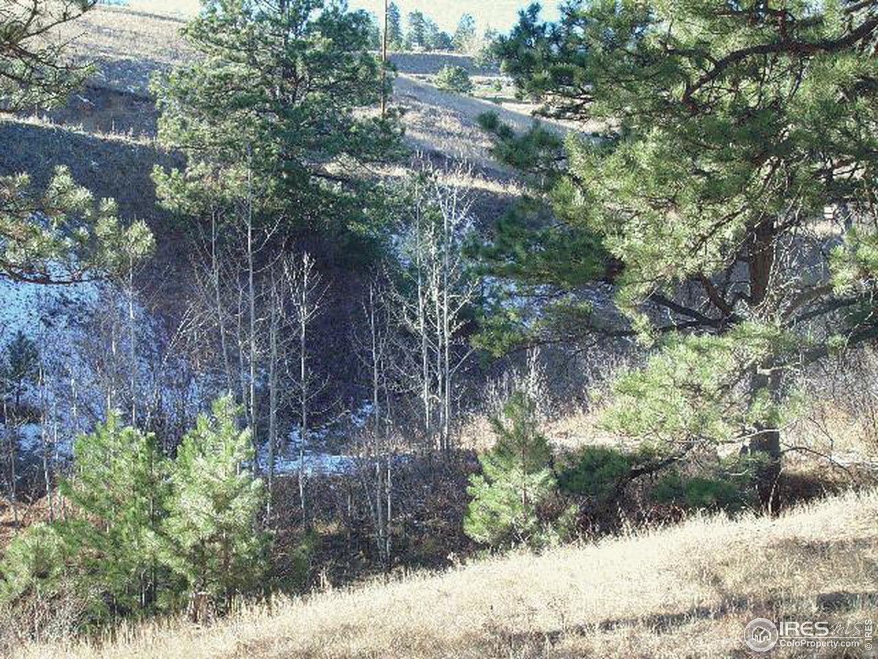 1088 Pika Road Boulder, CO 80302 - Photo 4 of 4 Gallery Image 4