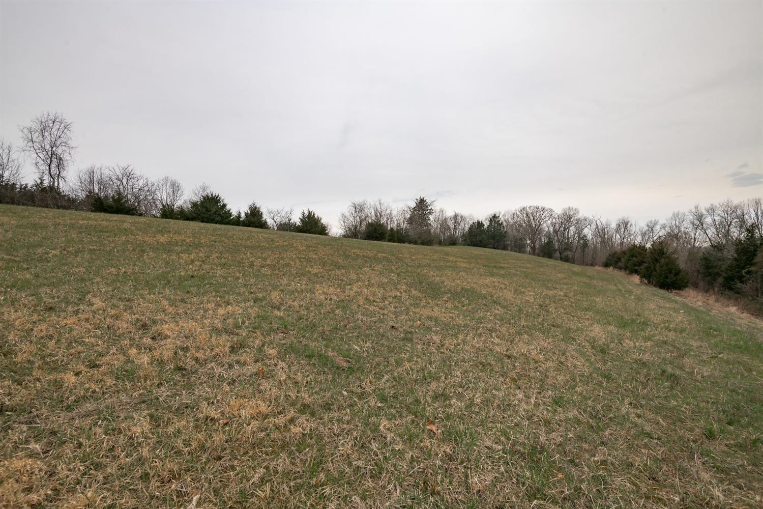 1255 Corinth Road Lawrenceburg, KY 40342 - Photo 26 of 38 Photo 26