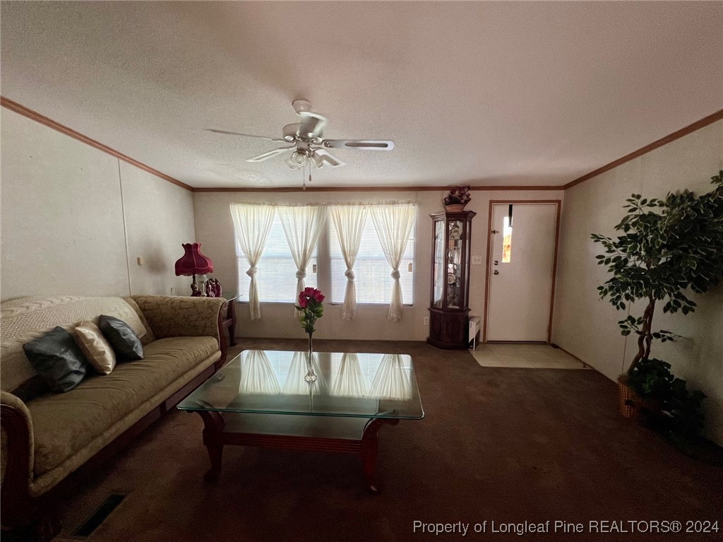 850 Quick Road Lumber Bridge, NC 28357 - Photo 2 of 18 Gallery Image 2