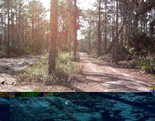 Tbd Christensen Road Fort Pierce, FL 34982 - Photo 3 of 10 Additional Photo