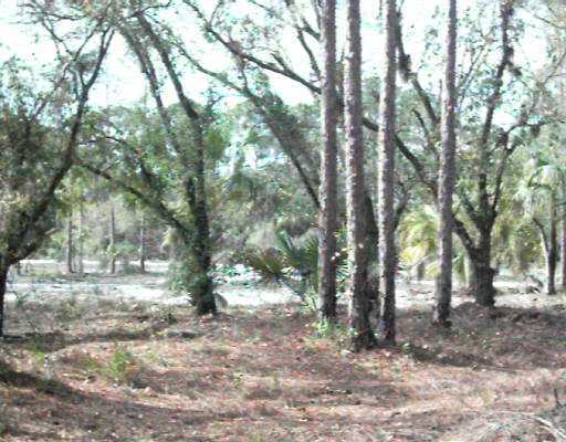 Tbd Christensen Road Fort Pierce, FL 34982 - Photo 8 of 10 Additional Photo
