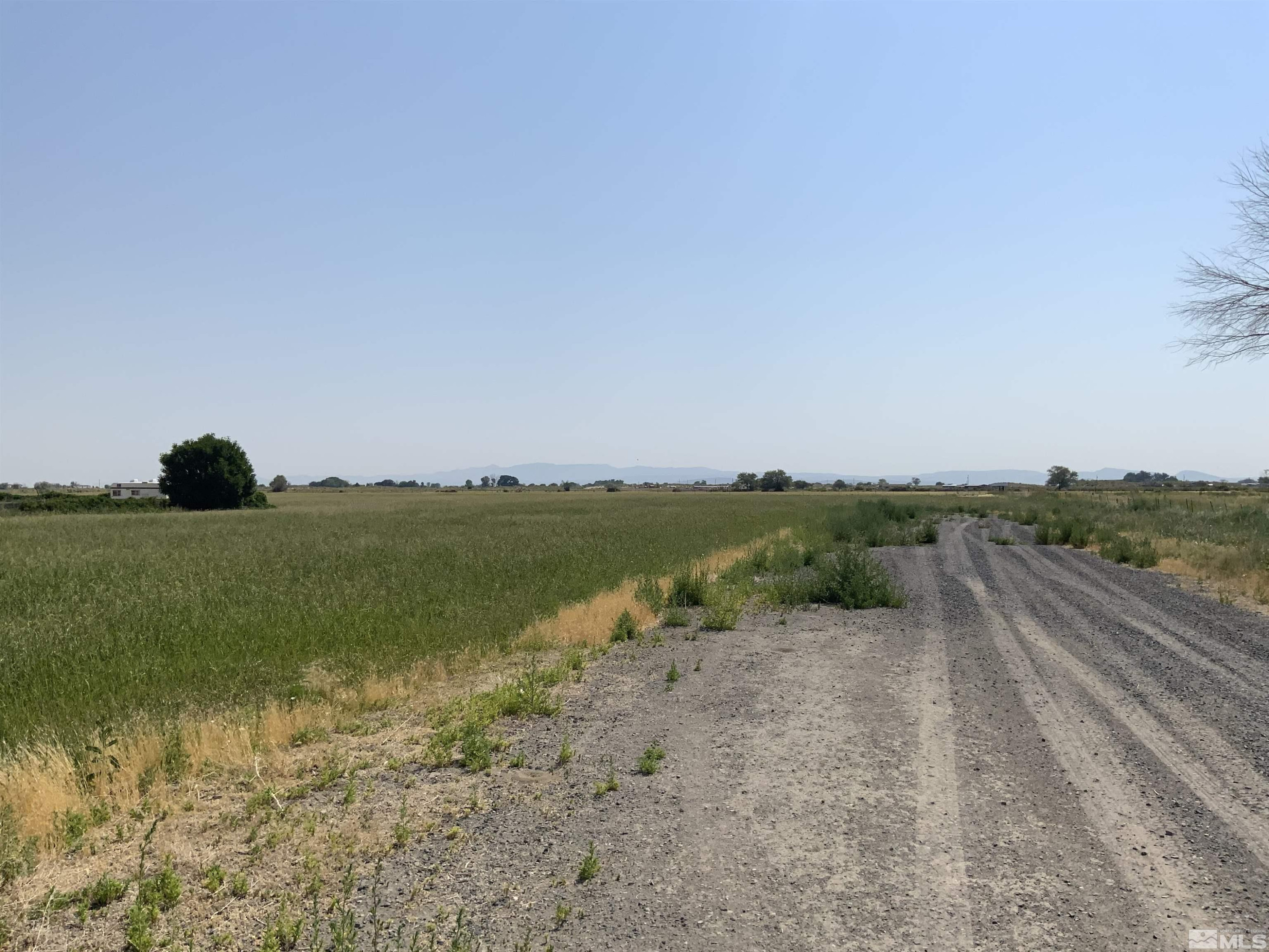 7235 Curry Road Fallon, NV 89406 - Photo 2 of 9 Photo 2