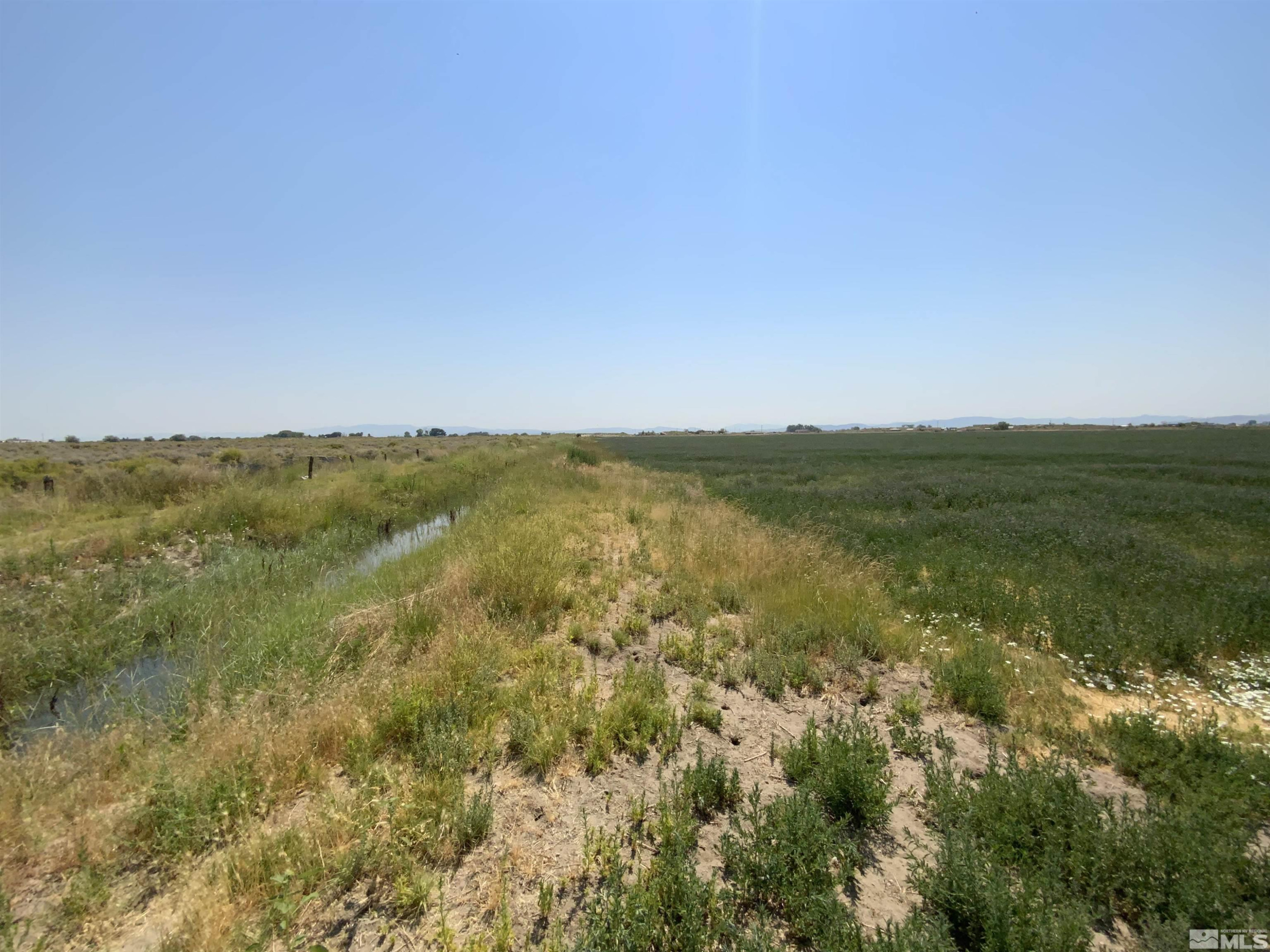 7235 Curry Road Fallon, NV 89406 - Photo 4 of 9 Photo 4