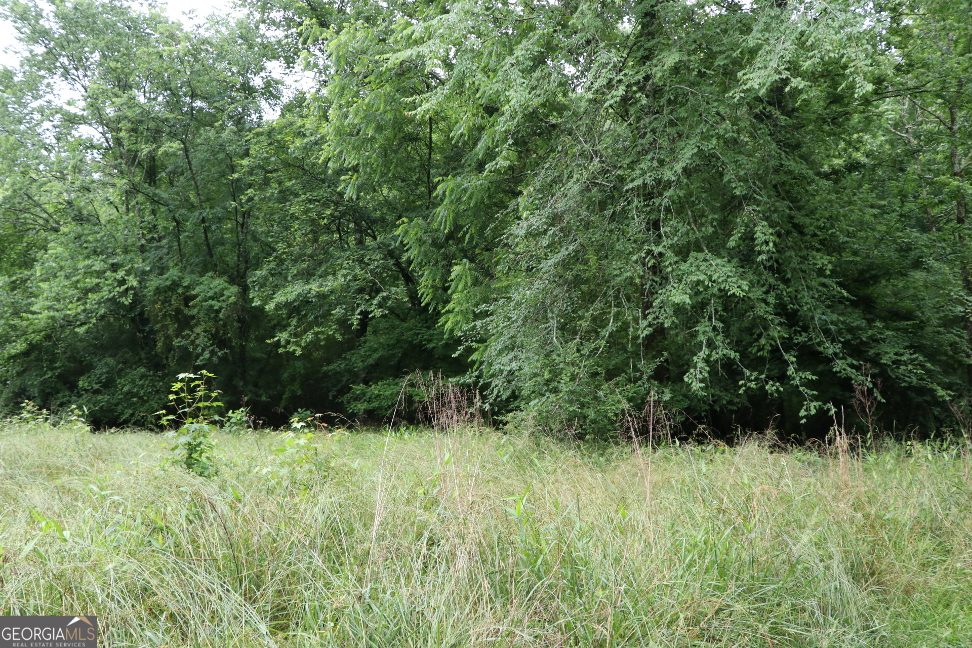 833 Neal Gap Road Summerville, GA 30747 - Photo 24 of 86