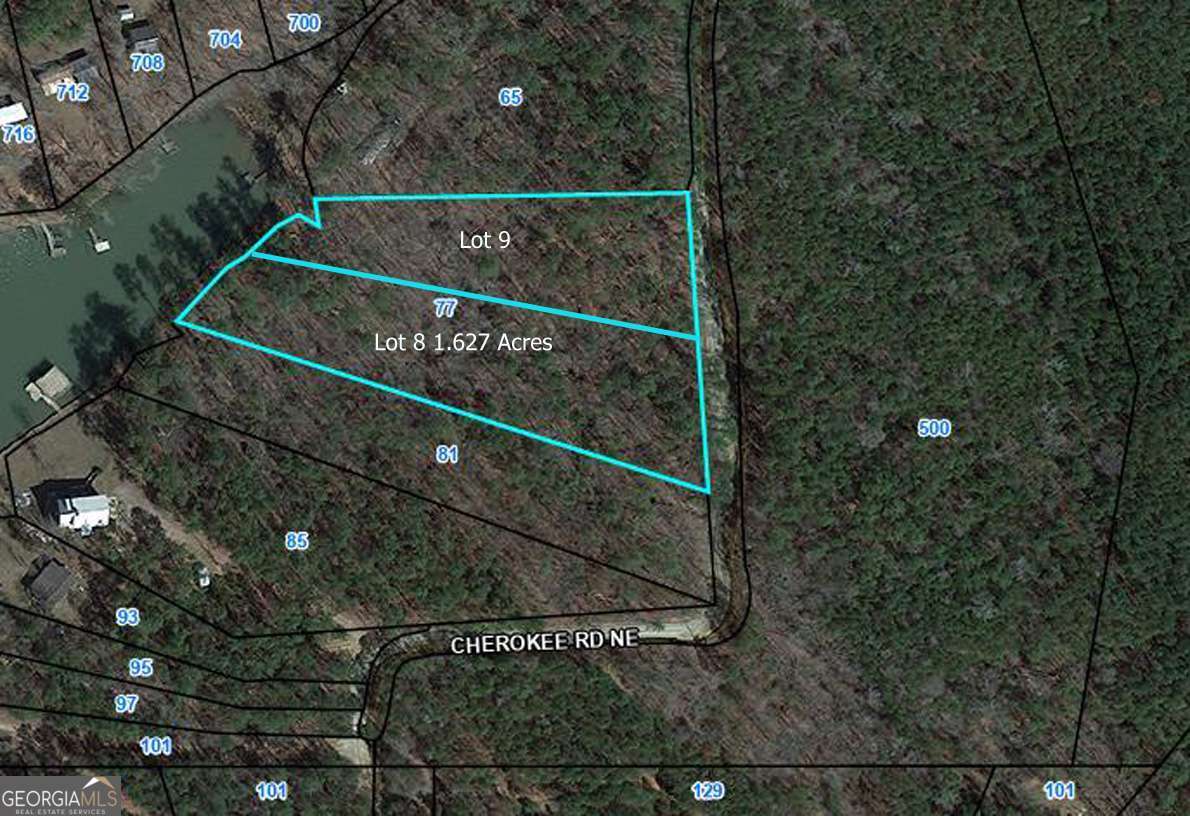 77 Cherokee Road Northeast Sparta, GA 31087 - Photo 2 of 9 a small pool with a trees in the background