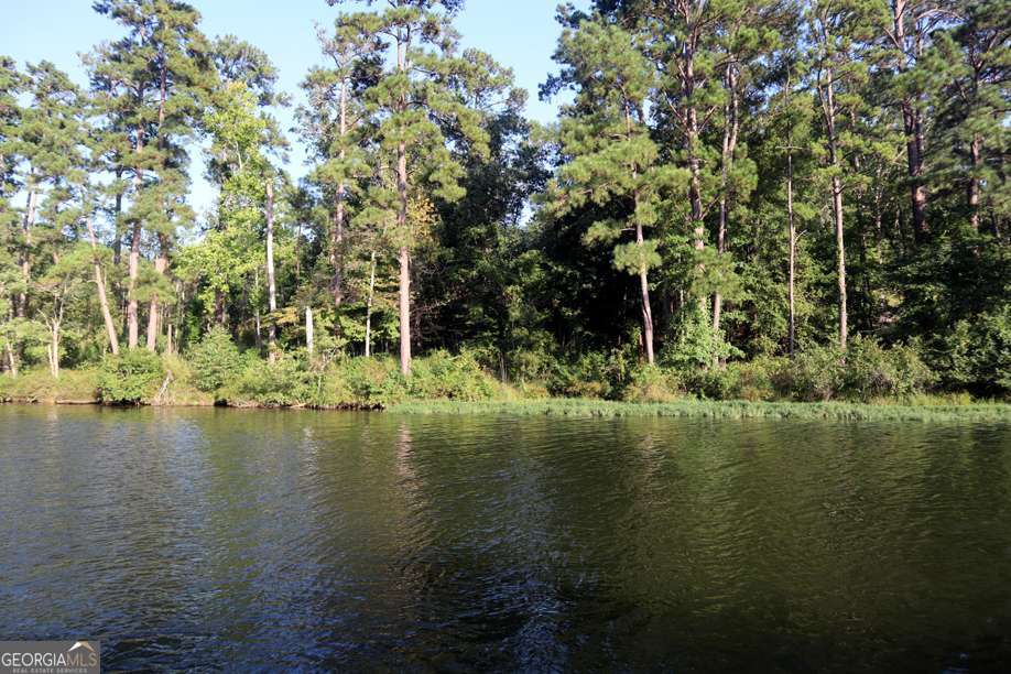 77 Cherokee Road Northeast Sparta, GA 31087 - Photo 7 of 9