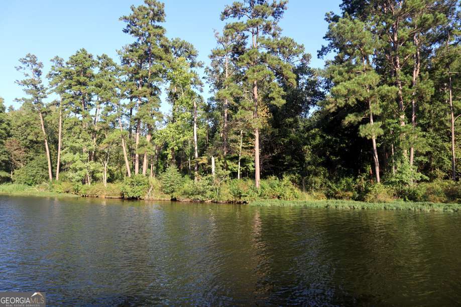 77 Cherokee Road Northeast Sparta, GA 31087 - Photo 8 of 9 a view of lake view