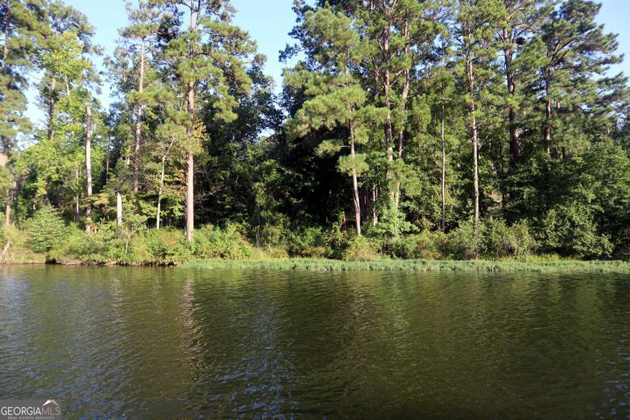 77 Cherokee Road Northeast Sparta, GA 31087 - Photo 9 of 9 a view of lake